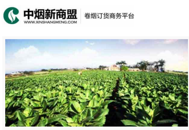 中烟新商盟卷烟订货商务平台-旭彩官网